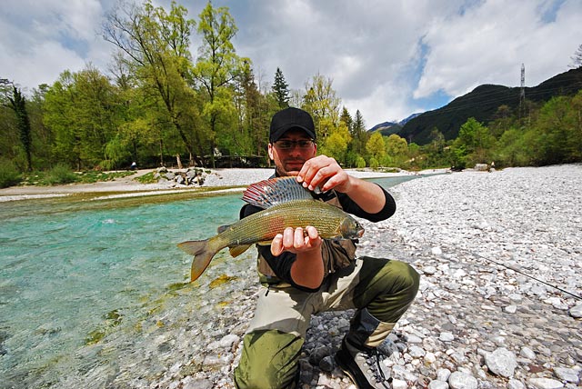 Lipień z Tolminki - Słowenia - Łowienie na muchę - www.przewodnicywedkarscy.pl - Wyprawy wędkarskie