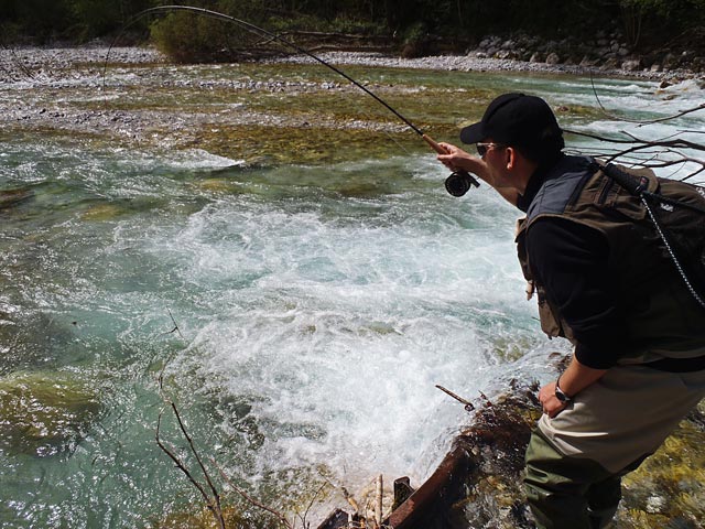 Hol dużego pstrąga - Słowenia - Łowienie na muchę - www.przewodnicywedkarscy.pl - Wyprawy wędkarskie