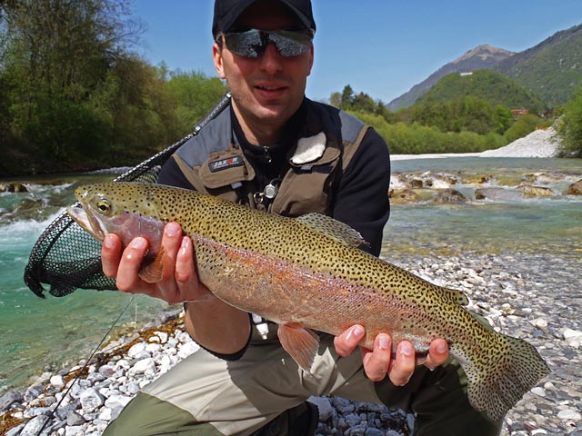 Duży pstrąg tęczowy z Tolminki - Słowenia - Łowienie na muchę - www.przewodnicywedkarscy.pl - Wyprawy wędkarskie