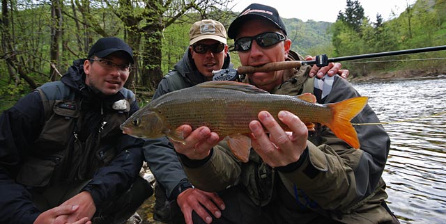Lipień z Idrijcy - Słowenia - Łowienie na muchę - www.przewodnicywedkarscy.pl - Wyprawy wędkarskie