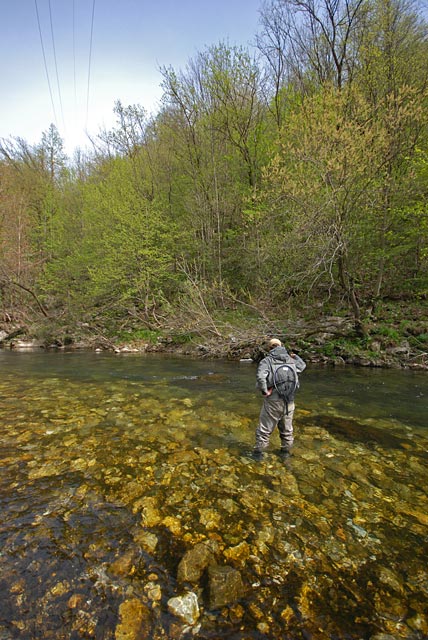 Łowienie na krótką nimfę - Słowenia - Łowienie na muchę - www.przewodnicywedkarscy.pl - Wyprawy wędkarskie