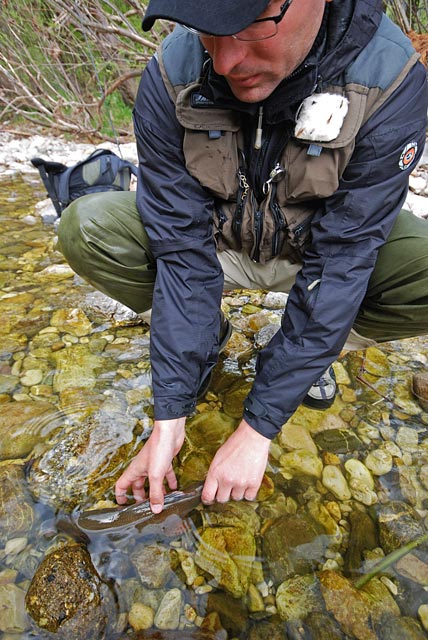 Bartek wypuszcza lipienia - Słowenia - Łowienie na muchę - www.przewodnicywedkarscy.pl - Wyprawy wędkarskie
