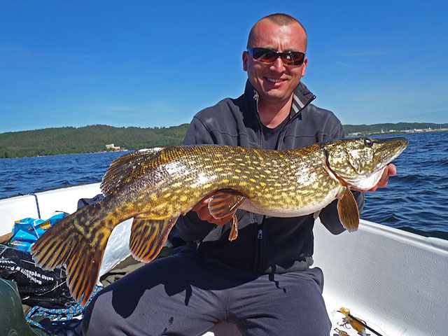 Darek z ładnym szczupakiem - Żarnowiec - www.przewodnicywedkarscy.pl - Wyprawy na szczupaka