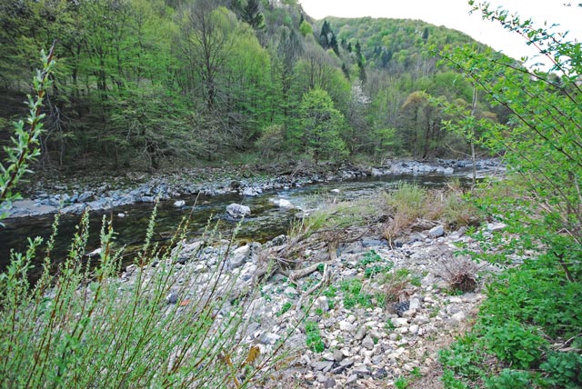 Idrijca - Słowenia - Łowienie na muchę - www.przewodnicywedkarscy.pl - Wyprawy wędkarskie