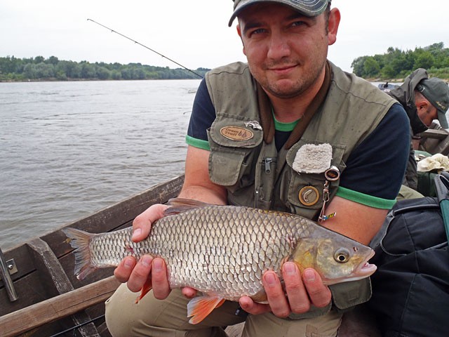 Michał z kleniem - Impreza integracyjna - Wisła - www.przewodnicywedkarscy.pl