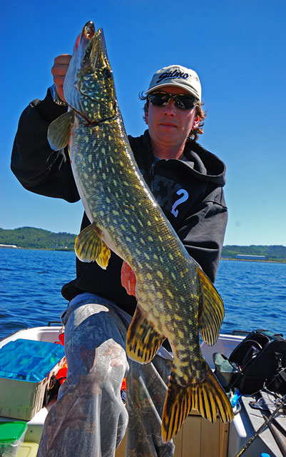 Piękny szczupak Mateusza - Żarnowiec - www.przewodnicywedkarscy.pl - Wyprawy na szczupaka