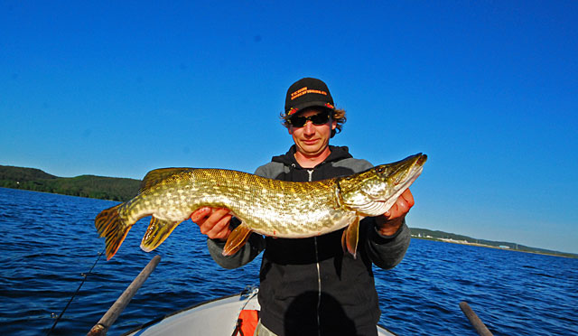 Duży szczupak - Żarnowiec - www.przewodnicywedkarscy.pl - Wyprawy na szczupaka