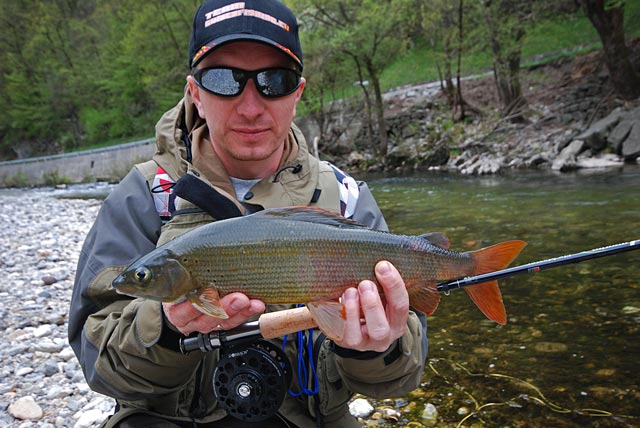 Lipień złowiony na suchą muchę - Słowenia - Łowienie na muchę - www.przewodnicywedkarscy.pl - Wyprawy wędkarskie