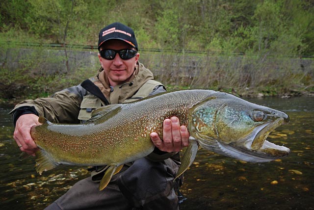 Okaz pstrąga marmurkowego - Słowenia - Łowienie na muchę - www.przewodnicywedkarscy.pl - Wyprawy wędkarskie