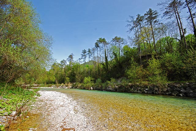 Przejrzysta Tolminka - Słowenia - Łowienie na muchę - www.przewodnicywedkarscy.pl - Wyprawy wędkarskie