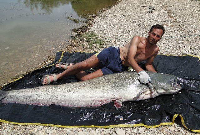 Rio Ebro - Polska baza wędkarska - www.przewodnicywedkarscy.pl - Wyprawy wędkarskie