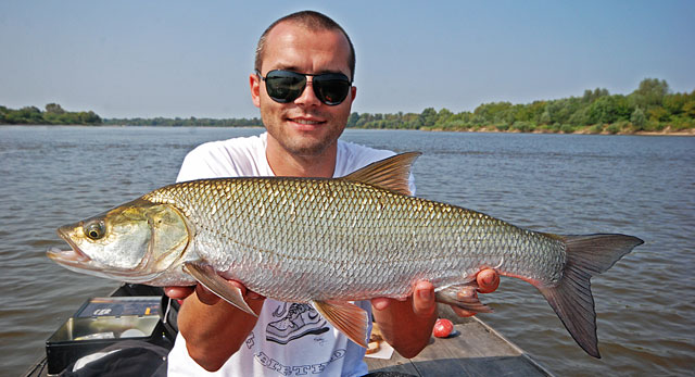 adam-bolen-wisla