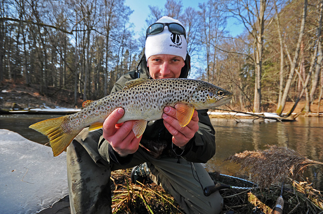 piekny-pstrag-potokowy-www.przewodnicywedkarscy.pl