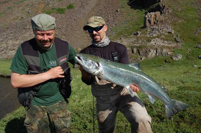 Piękny okaz łososia - Islandia - www.przewodnicywedkarscy.pl - Wyprawy wędkarskie