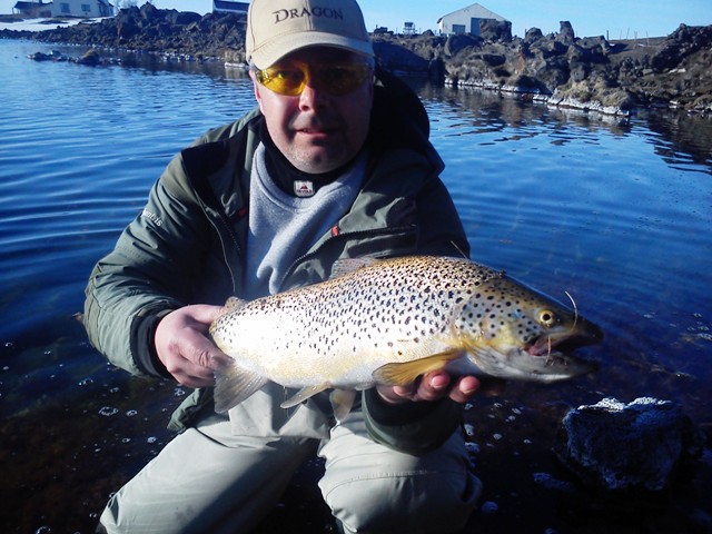 Duży pstrąg - Islandia - www.przewodnicywedkarscy.pl - wyprawy wędkarskie