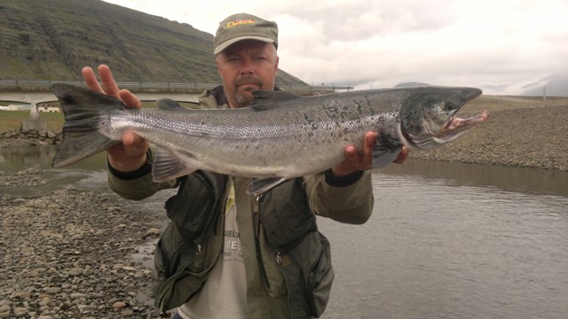 Duży łosoś - Islandia - www.przewodnicywedkarscy.pl - wyprawy wędkarskie