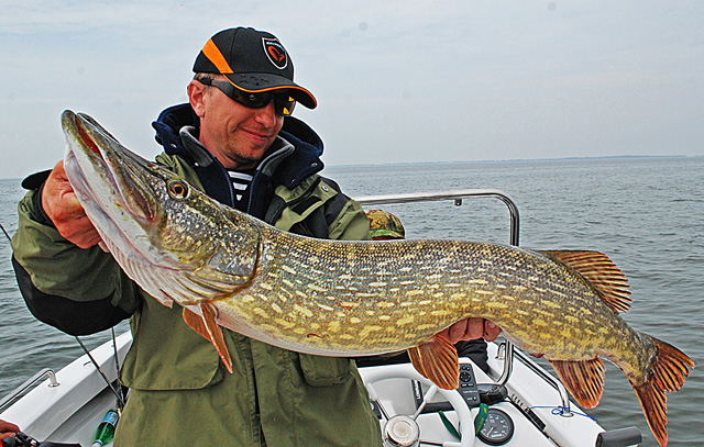 Wyprawy wędkarskie - www.przewodnicywedkarscy.pl - Okulary polaryzacyjne Wyprawy wędkarskie - www.przewodnicywedkarscy.pl - Okulary polaryzacyjne