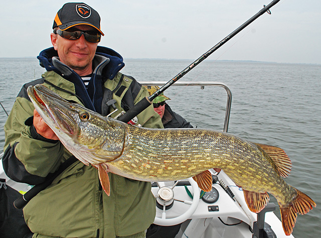 Wyprawy na ryby - www.przewodnicywedkarscy.pl - Rugia - duży szczupak Wyprawy na ryby - www.przewodnicywedkarscy.pl - Rugia - duży szczupak