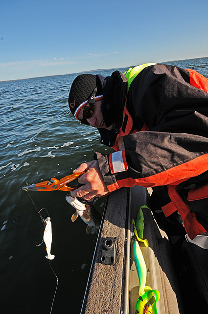 Wyprawy wędkarskie - www.przewodnicywedkarscy.pl - Kombinerki Savage Gear Wyprawy wędkarskie - www.przewodnicywedkarscy.pl - Kombinerki Savage Gear