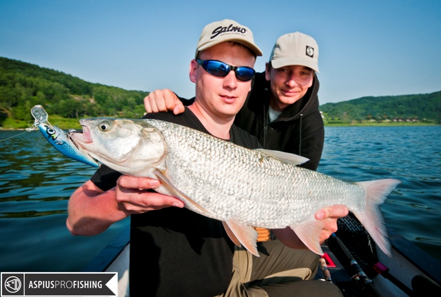 wwwprzewodnicywedkarscy-bolen-salmo