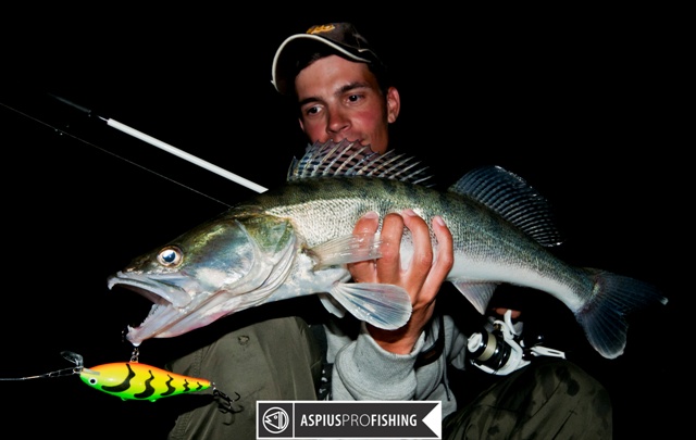 wwwprzewodnicywedkarscypl-nocny-sandacz-salmo