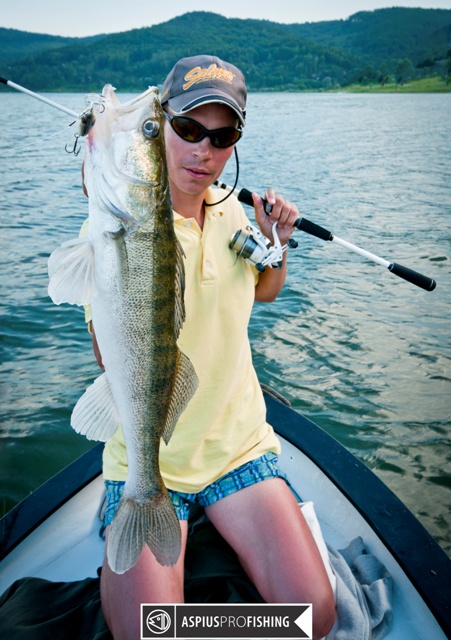 wwwprzewodnicywedkarscypl-sandacz-salmo