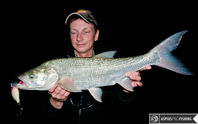 wyprawy-na-ryby-bolen-salmo