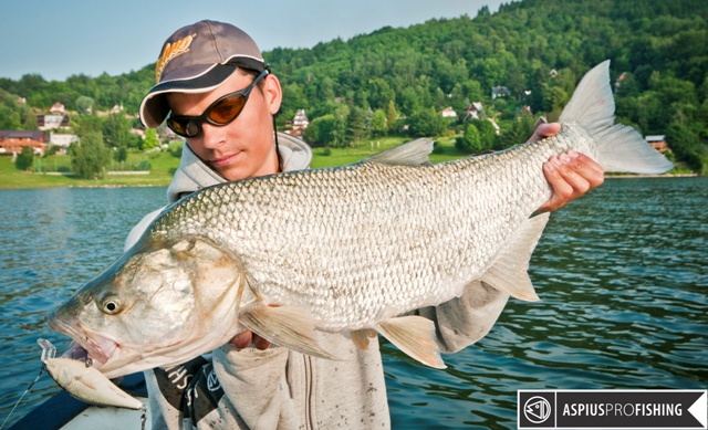 wyprawy-na-ryby-gruby-bolen-wwwprzewodnicywedkarscypl