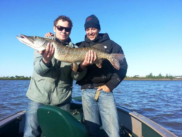 wyprawy-na-ryby-szczupak-holandia