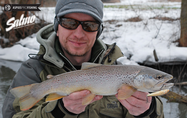 pstrag potokowy - sebastian kalkowski - salmo minnow - www.przewodnicywedkarscy.pl