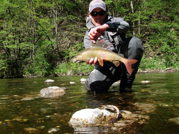 wyprawy na ryby - Słowenia - lipień - pstrąg marmurkowy - 5