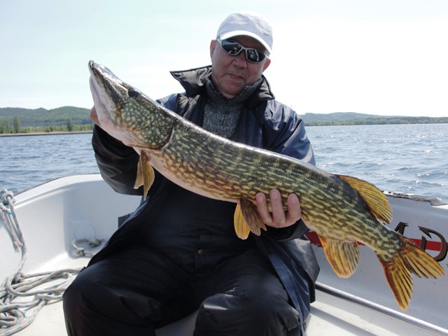 Wyprawy na ryby z przewodnikiem - www.przewodnicywedkarscy.pl - Jezioro Żarnowiec