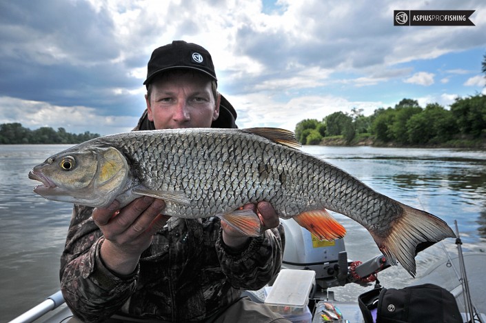 Wyprawy na ryby - www.przewodnicywedkarscy.pl - Wyprawy wędkarskie z przewodnikiem