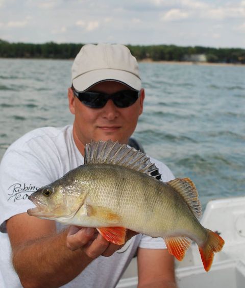 wyprawy-wadkarskie-na-okonie-wwwprzewodnicywedkarscypl-wyprawy-na-ryby-2