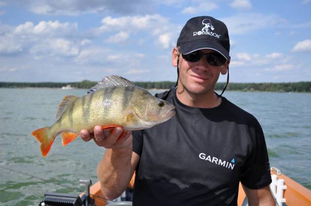 wyprawy-wadkarskie-na-okonie-wwwprzewodnicywedkarscypl-wyprawy-na-ryby-3