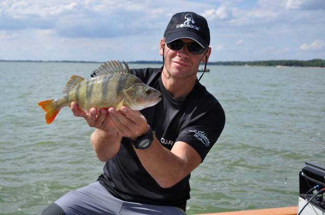 wyprawy-wadkarskie-na-okonie-wwwprzewodnicywedkarscypl-wyprawy-na-ryby