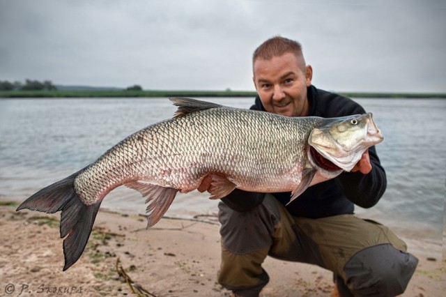 Wyprawy na ryby - www.przewodnicywedkarscy.pl - Wyprawy wędkarskie z przewodnikiem