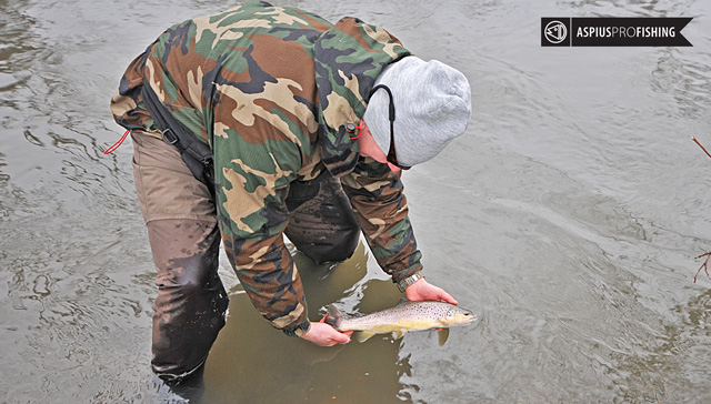 Wyprawy z profesjonalnym przewodnikiem - www.przewodnicywedkarscy.pl - pstrąg potokowy