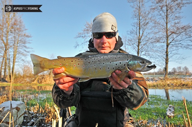 Wyprawy wędkarskie - www.przewodnicywedkarscy.pl - Wyprawy na ryby z przewodnikiem pstrag-3