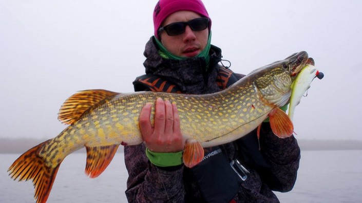 10603774_848814031851327_6319191585375010360_n