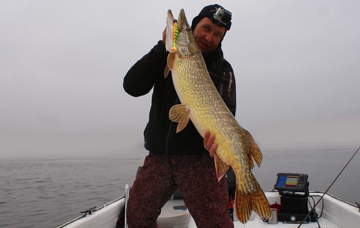 10978650_848814041851326_4969788038768067219_n