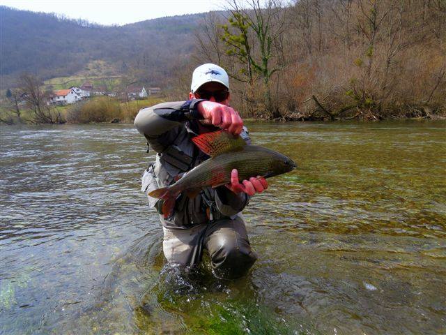 11071414_10205011021188193_2294183186606022152_n