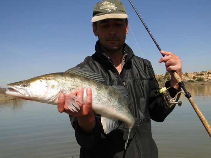 1510648_790598301028178_1390728415747241779_n