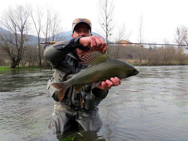 19825_10205011007227844_1578621165907700190_n