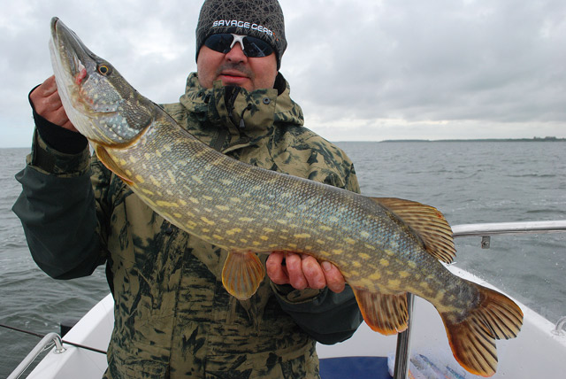 Wyprawy wędkarskie - www.przewodnicywedkarscy.pl - Wyprawy na ryby z przewodnikiem