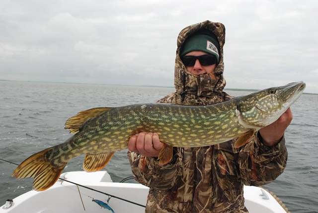 Wyprawy wędkarskie - www.przewodnicywedkarscy.pl - Wyprawy na ryby z przewodnikiem