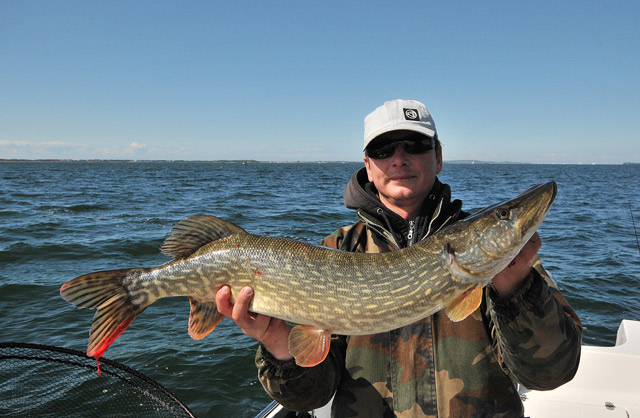 Wyprawy wędkarskie - www.przewodnicywedkarscy.pl - Wyprawy na Rugię z przewodnikiem