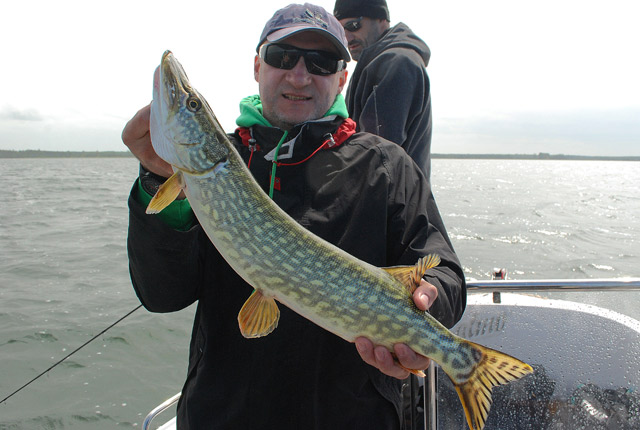 Wyprawy wędkarskie - www.przewodnicywedkarscy.pl - Wyprawy na Rugię z przewodnikiem