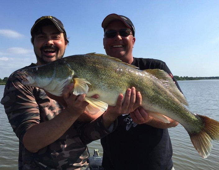 11659435_1494083837549264_7074149069917206303_n