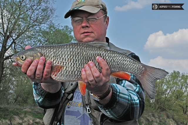 Wyprawy wędkarskie - www.przewodnicywedkarscy.pl - Wyprawy na ryby z przewodnikiem